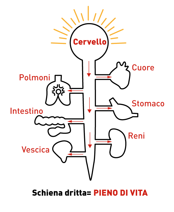 come funziona la chiropratica